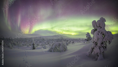Northern lights in Pallas Yllastunturi National Park, Lapland, Finland photo