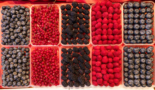 forest berry market