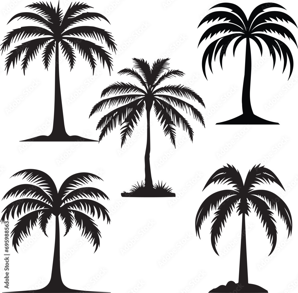 Plam Tree Silhouette  Vector Icon and  Illustration