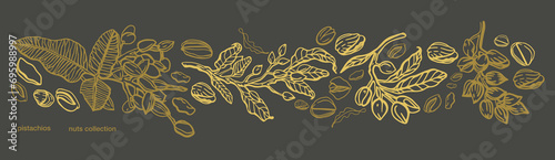 Vector hand drawn pistachio tree branch set with leaves and nuts. Botanical drawing. Vintage style. Nuts and seeds collection.	