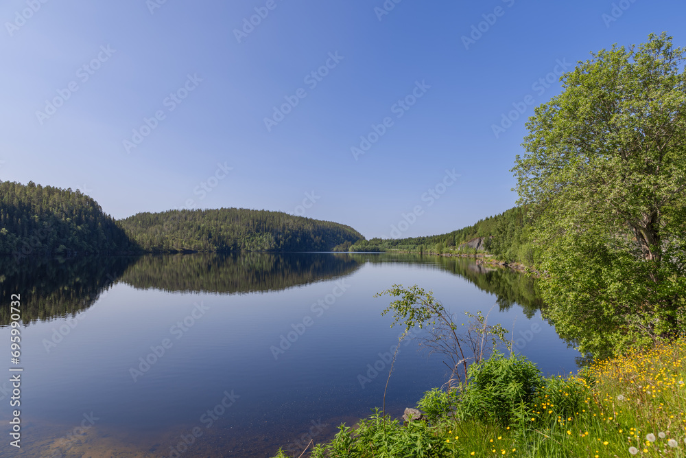 A panoramic view of Snasavatnet in Steinkjer, Norway, showcasing dense forested shores reflected in the lake's calm waters under a sunlit, clear blue sky in summer A panoramic view of Snasavatnet in Steinkjer, Norway, showcasing dense forested shores reflected in the lake's calm waters under a sunlit, clear blue sky in summer
