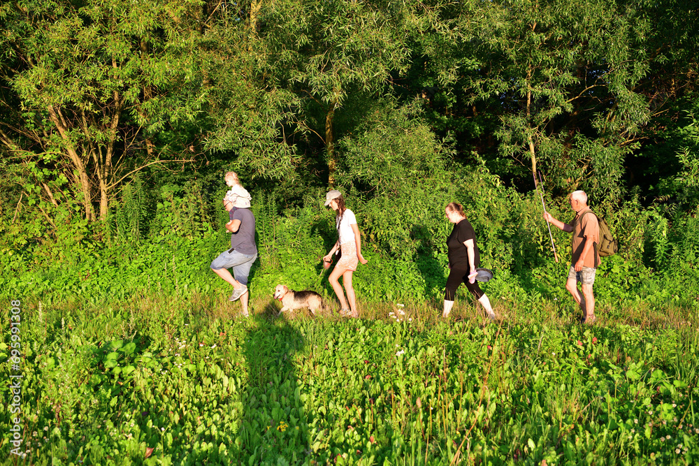 The whole family is walking on a meadow next to the forest on a trip in nature