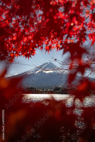 Mountain Fuji during autumn foliage