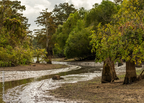 Muddy channel or pathway taken by airboat tours of the bayou of Atchafalaya Basin near Baton Rouge Louisiana photo