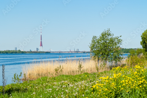 river close-up, in the photo there is a river, blue sky and green meadow photo