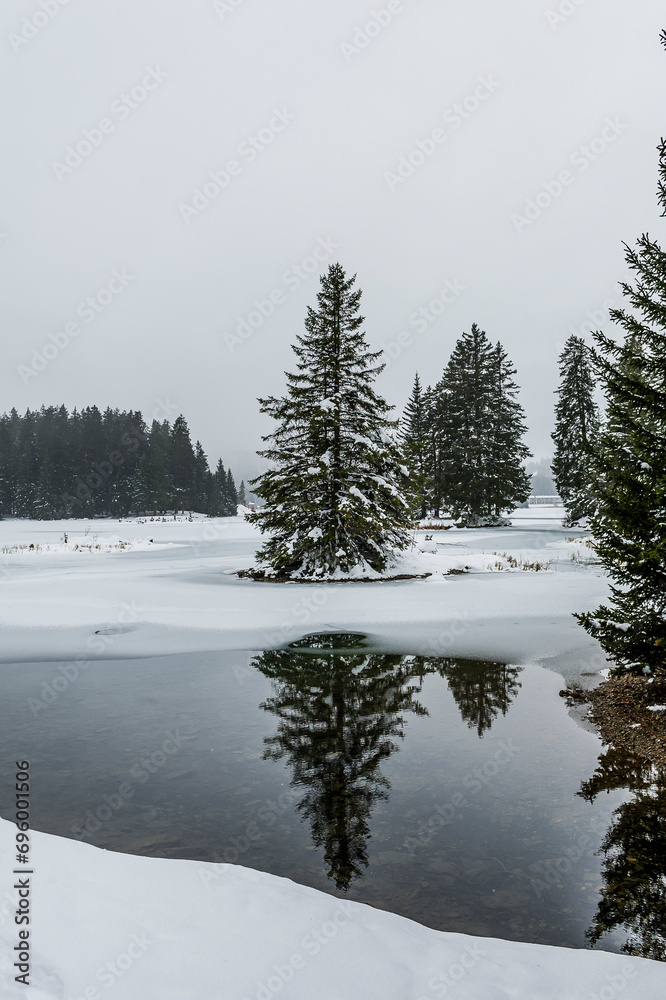 Obraz premium Lenzerheide, Valbella, Heidsee, Bergsee, Uferweg, Wanderweg, Winterwanderung, Langlauf, Loipe, Winterlandschaft, Seeufer, Spiegelung, Alpen, Wald, Tannen, Eis, Winter, Graubünden, Schweiz 