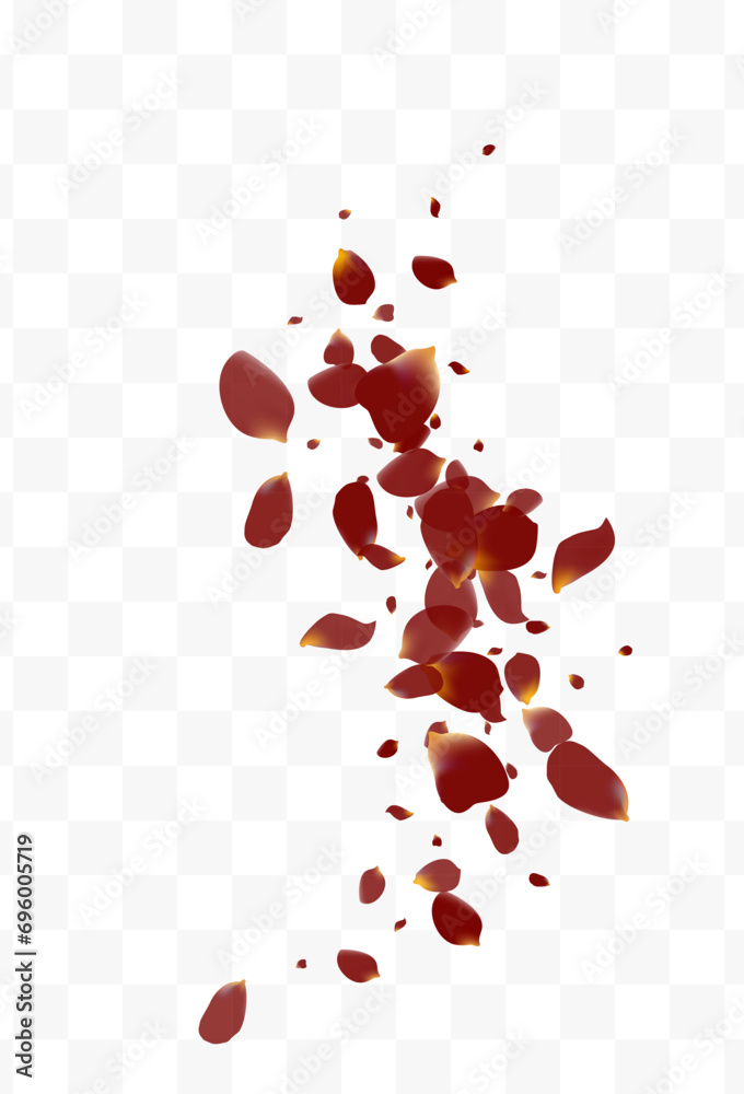 Delicate Petal Flying Vector Transparent Delicate Petal Flying Vector Transparent