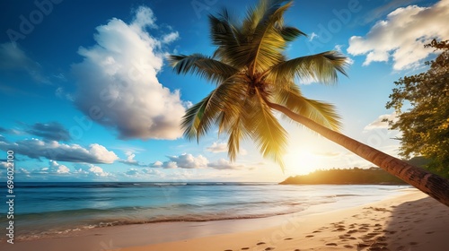 A palm tree that is beautiful on the beach