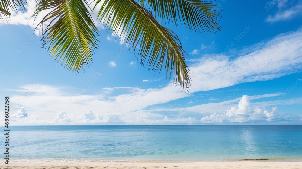 A tropical beach filled with sea and sand, coconut palm trees, and a blue sky with white clouds is a sight to see.