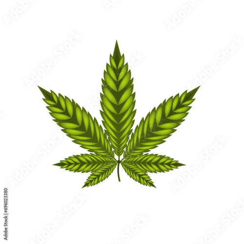 Cannabis leaf vector illustration on white background