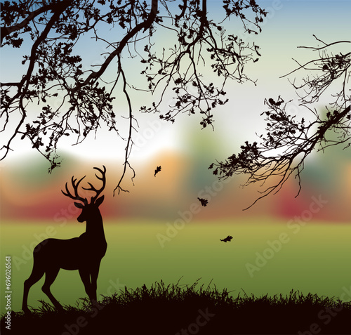 Silhouette of deer in the grass by the oaks. Vector drawing