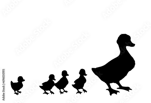 Mother duck with ducklings. Vector outline drawing photo