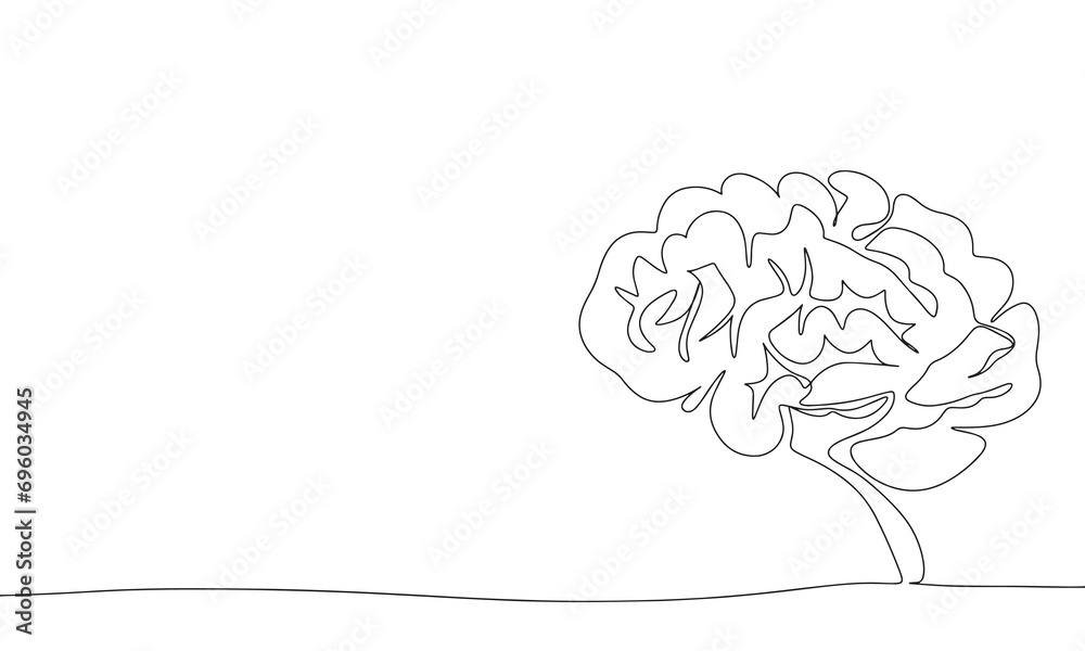 Human brain one line continuous line. Outline line art human brain. Hand drawn vector art. Human brain one line continuous line. Outline line art human brain. Hand drawn vector art.