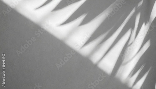 light and shadow of leaf abstract grey background natural shadows and sunshine diagonal refraction on white concrete wall texture shadow overlay effect for foliage mockup banner graphic layout