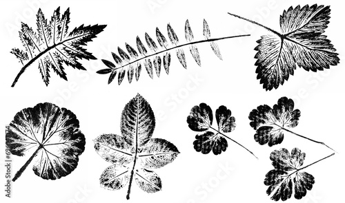 abstract botanical art - monoprint - leaves and plants printed on paper with watercolors - original artwork