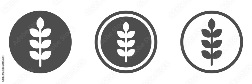 Wheat symbol vector icons. Line and solid wheat flat graphic vector icons Wheat symbol vector icons. Line and solid wheat flat graphic vector icons