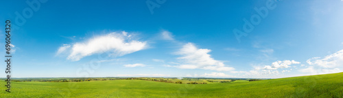Tranquil green meadow with blue sky and clouds: a peaceful scene.