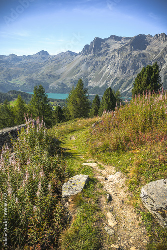 Scenic Alpine Trail in Engadin