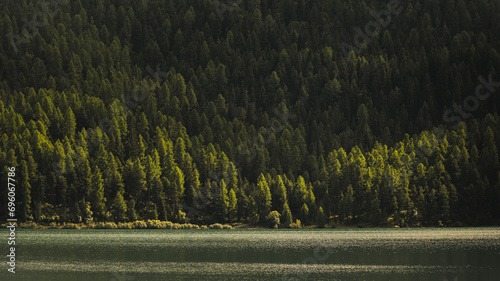 Serenity at a Mountain Lake in Engadin