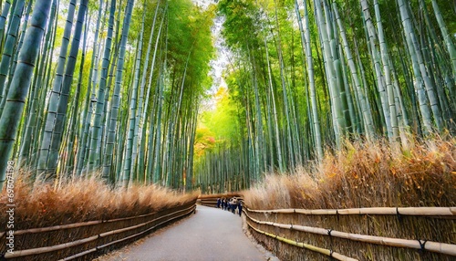 arashiyama bamboo forest in kyoto japan