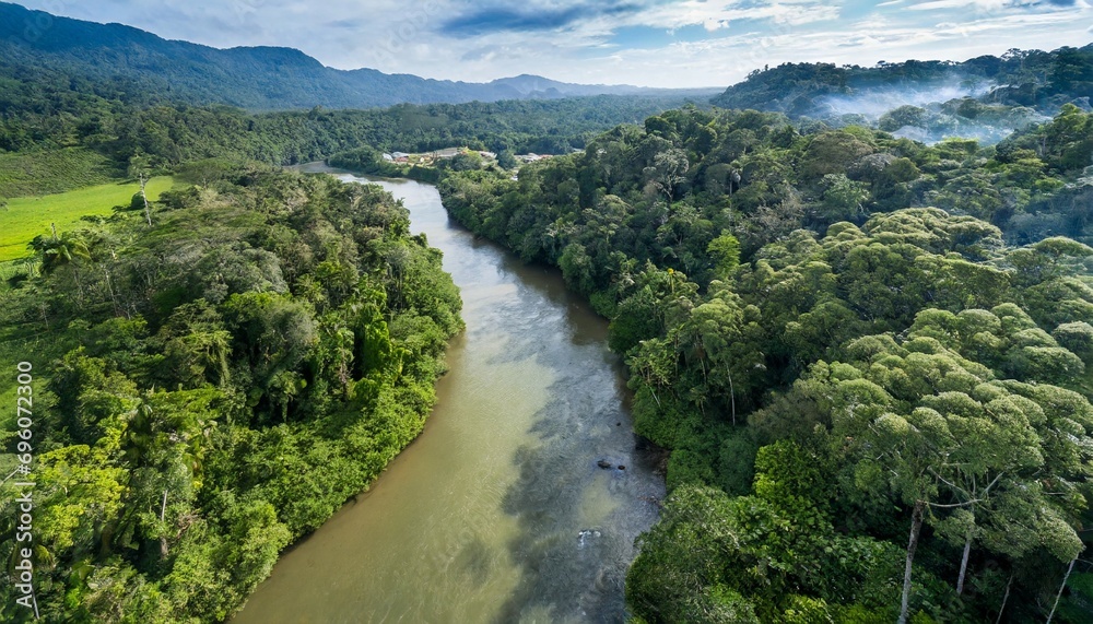 river in rainforest drone view