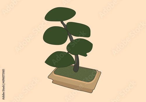 bonsai tree