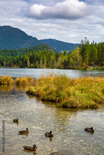 Landscape with lake, forest and mountains of the Bavarian Alps