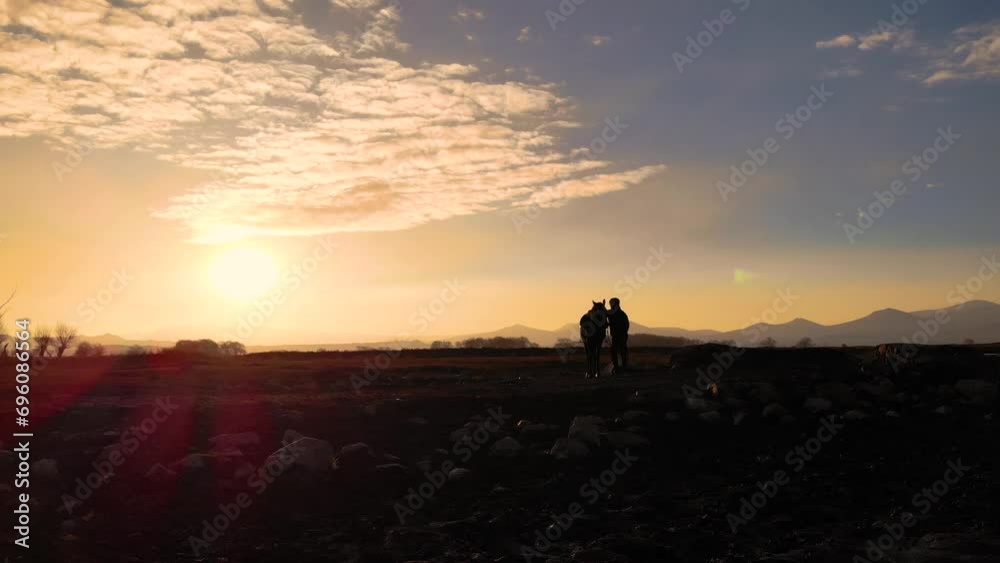 Young man spending time in the reeds with his horse at sunset Young man spending time in the reeds with his horse at sunset