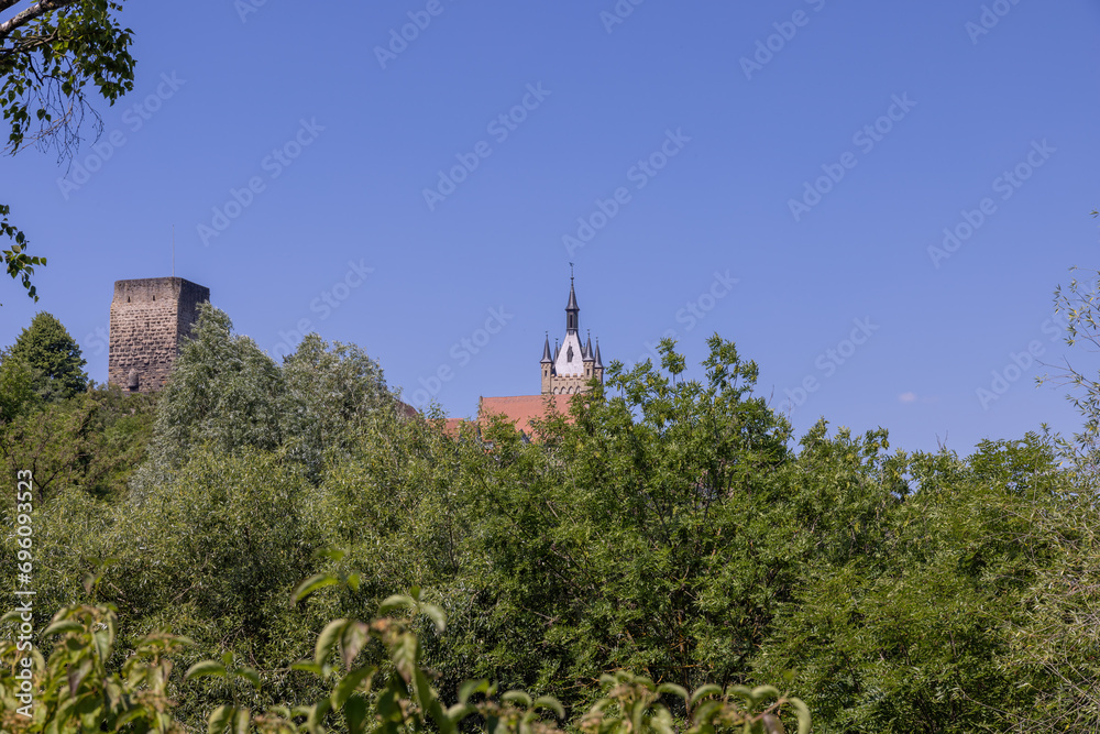 Bad Wimpfen with a view of the old church and the historic city wall over the Neckar river