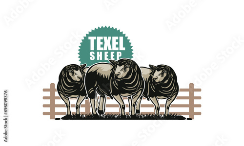 TEXEL SUPERIOR SHEEP LOGO, silhouette of great ram standing in farm vector illustrations