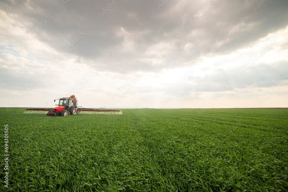 Tractor spraying wheat in field Tractor spraying wheat in field