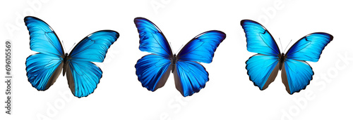 Set of Beautiful Blue Butterflies in Full Body Close-Up Portraits, Flying with Grace, Isolated on Transparent Background, PNG