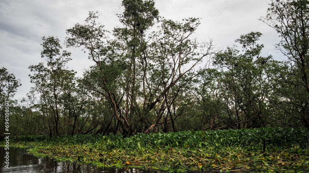 The view of Tram Chim National Park in Southern Vietnam The view of Tram Chim National Park in Southern Vietnam