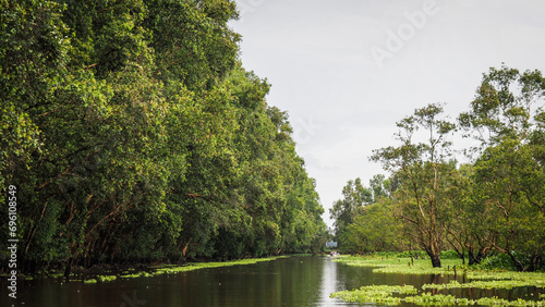 Konstfotografi The view of Tram Chim National Park in Southern Vietnam