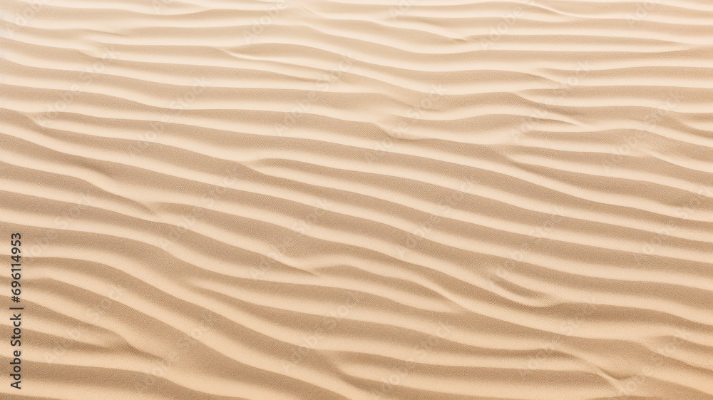 Rippled sand dunes in a vast desert Rippled sand dunes in a vast desert