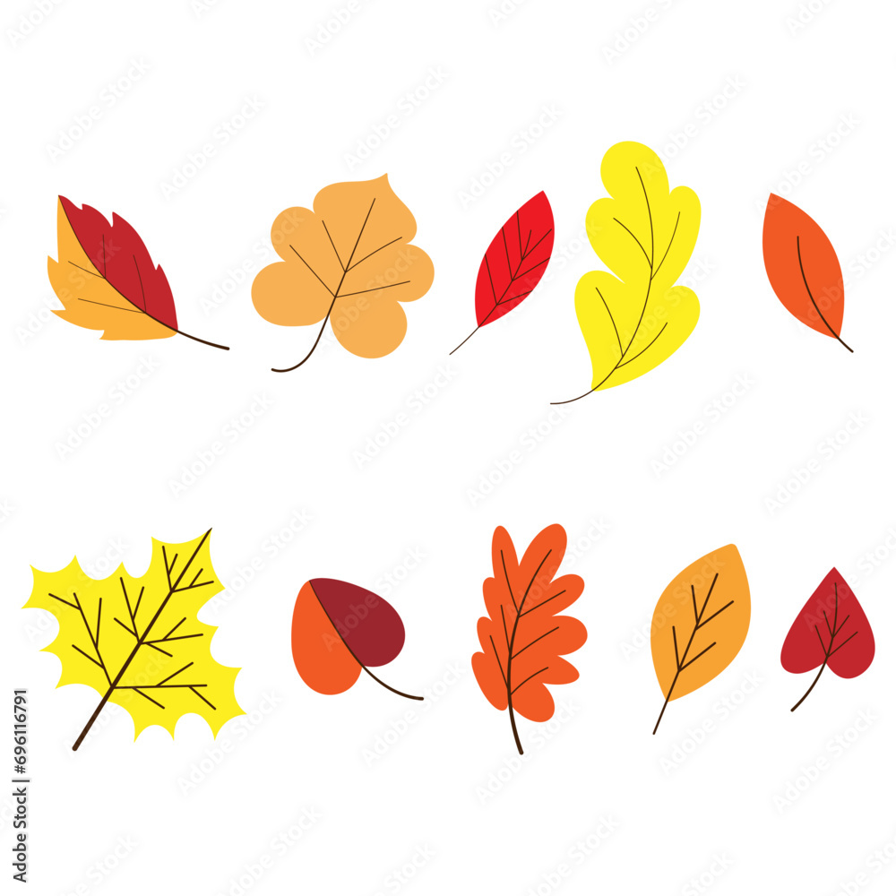 Autumn leaves. The leaves are yellow, red, and orange. Forest foliage. Leaves from the tree