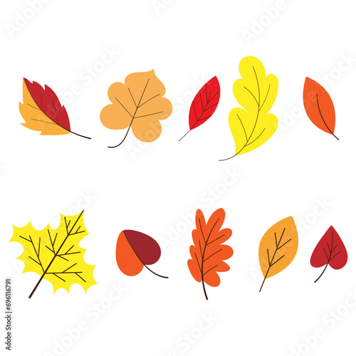 Autumn leaves. The leaves are yellow  red  and orange. Forest foliage. Leaves from the tree