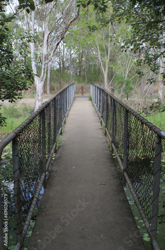 Bridge over a creek in a forest of trees