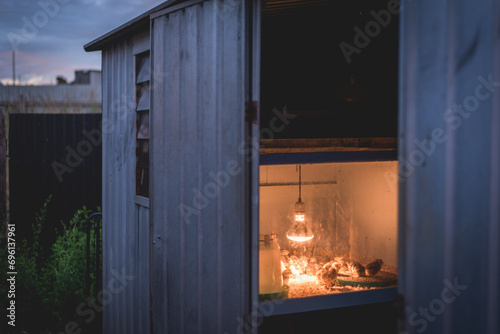 Chicken coop at night