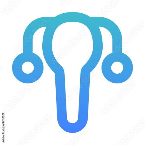 uterus