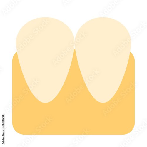incisor