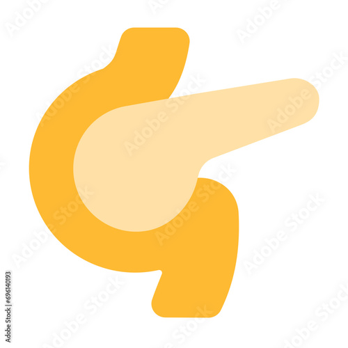 pancreas