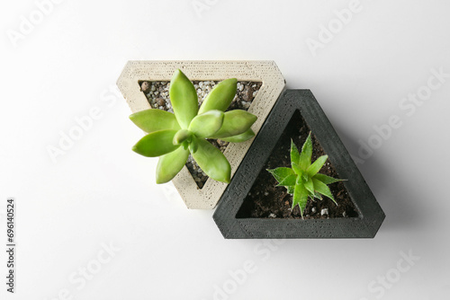 Photos Succulent plants on white table, flat lay