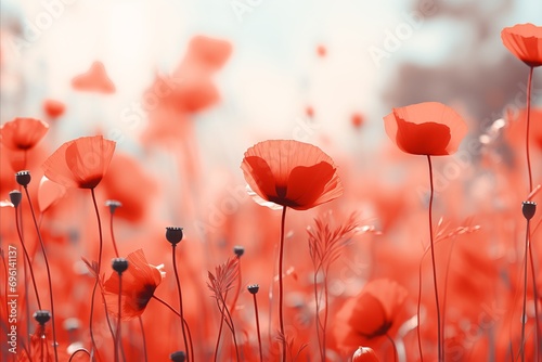 Contrasting poppy flowers on soft bokeh background with space for text and a narrative effect
