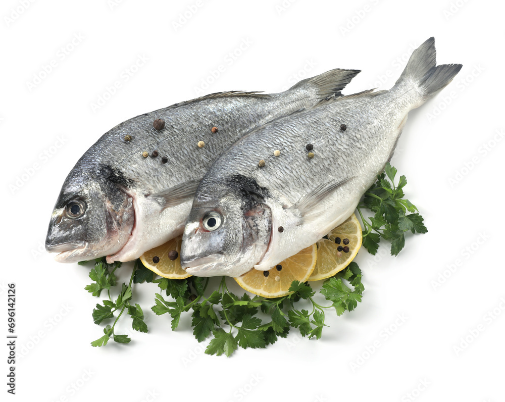 Raw dorado fish, parsley, lemon slices and peppercorns isolated on white, top view Raw dorado fish, parsley, lemon slices and peppercorns isolated on white, top view