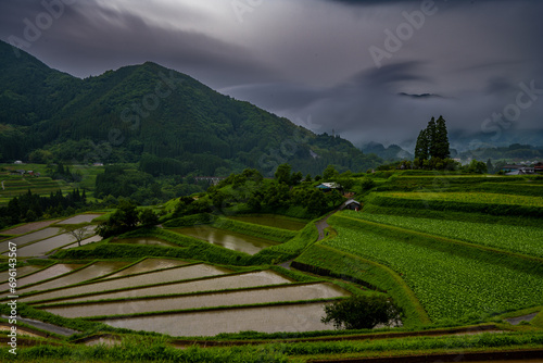 Rice fields of Takachiho Miyazaki Japan