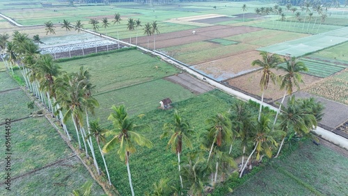 Morning atmosphere in Tempos hamlet, Gerung, West Lombok. a cold, wet mist blanketed the countryside photo