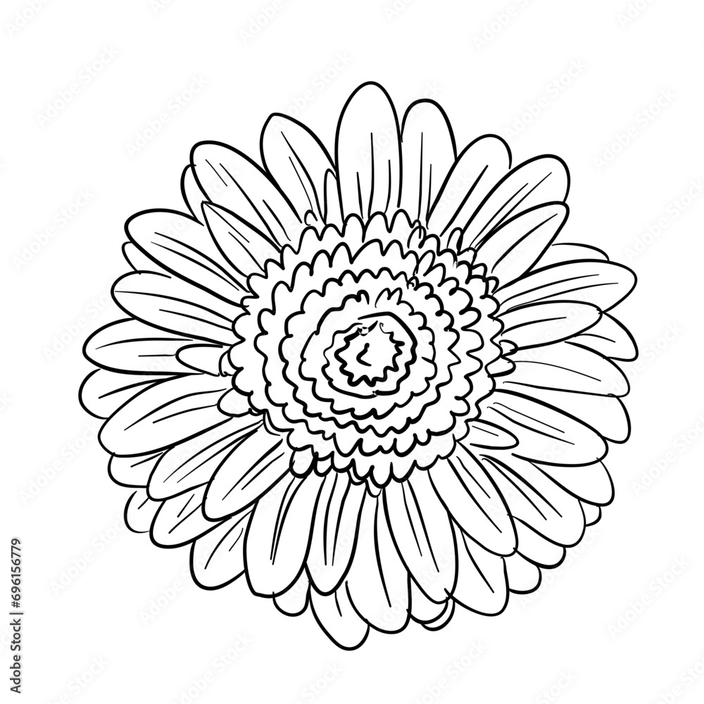 flower handdrawn illustration