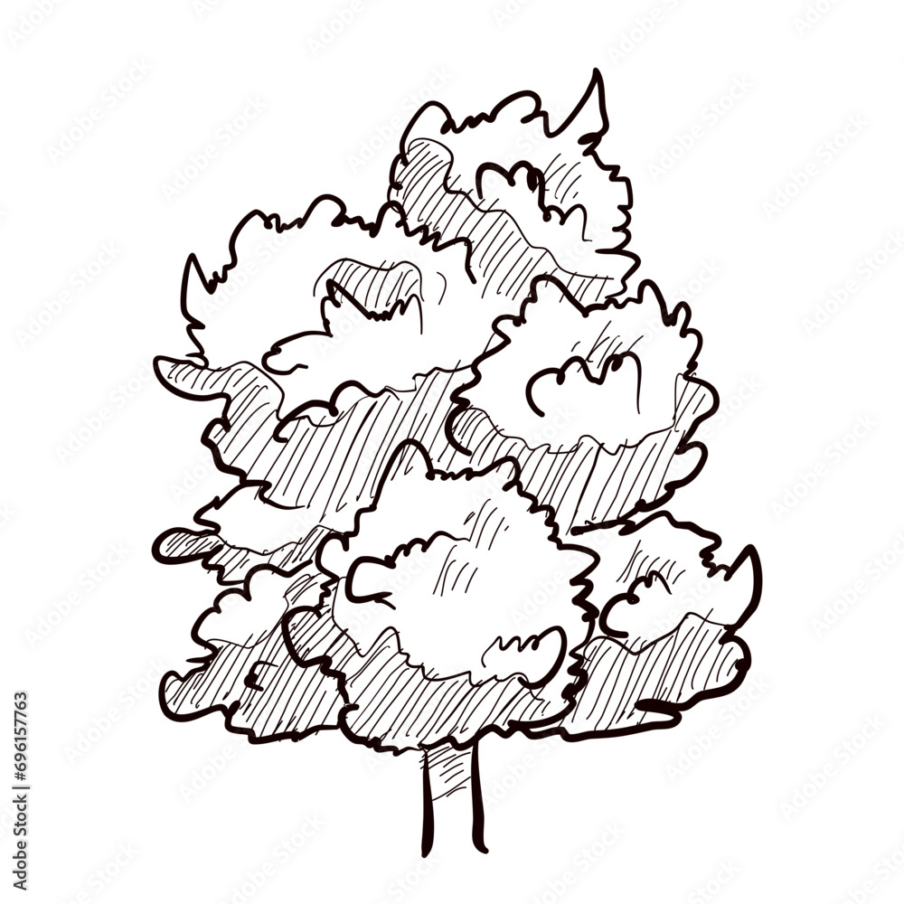 Fototapeta premium oak tree handdrawn illustration