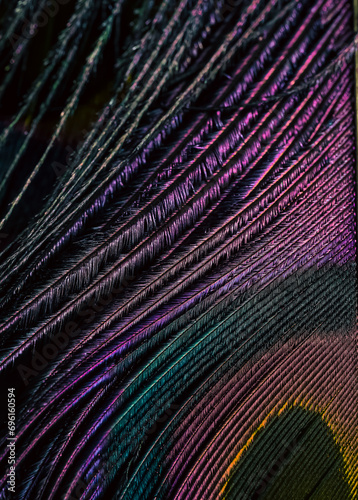 Feather background.